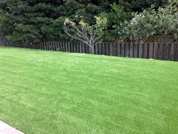 Artificial Grass Installation Star Valley, Arizona Backyard Playground, Backyard