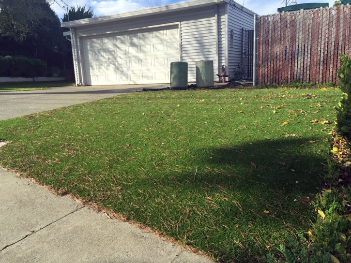 Artificial Grass Installation Sun Valley, Arizona Landscape Design, Front Yard Landscape Ideas