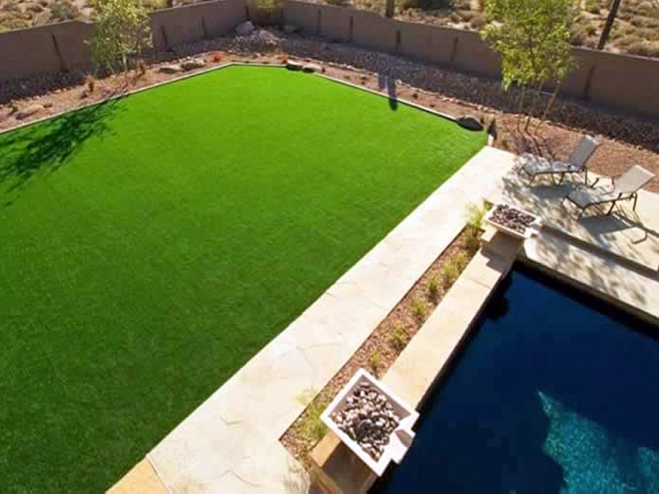 Artificial Grass Marana, Arizona Backyard Playground, Natural Swimming Pools