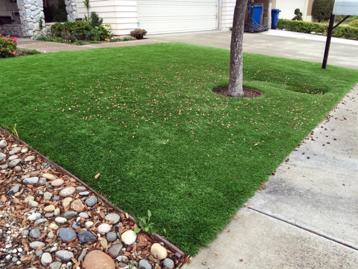 Artificial Grass Naco, Arizona Landscape Design, Small Front Yard Landscaping