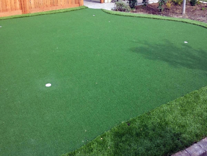 Artificial Grass Prescott, Arizona Putting Green Grass