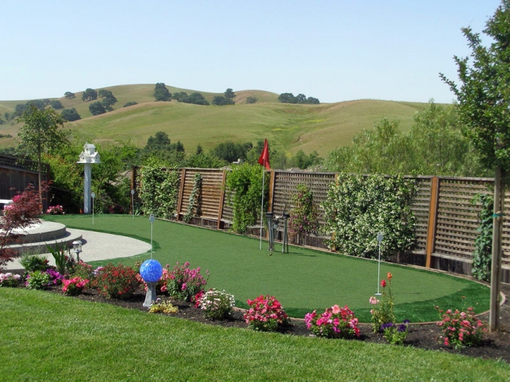 Artificial Grass Queen Valley, Arizona Putting Green Carpet, Small Backyard Ideas