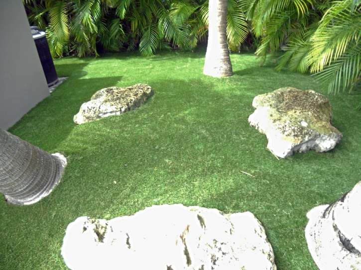 Artificial Grass Saint David, Arizona Home And Garden, Backyard Makeover