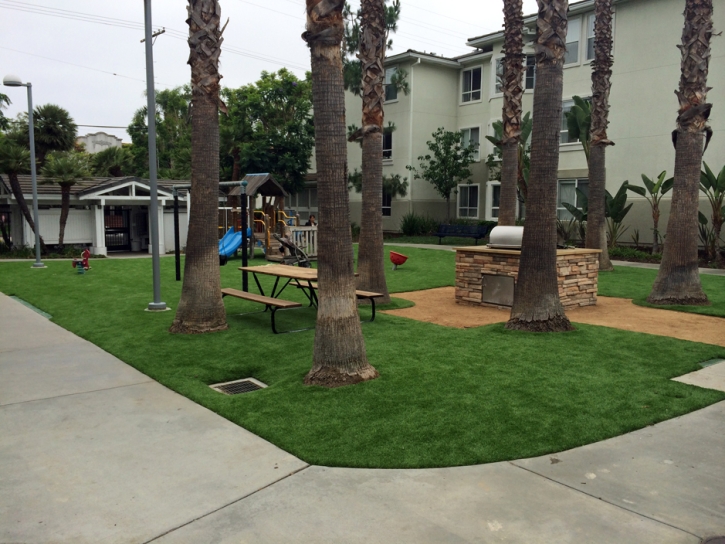 Artificial Grass Superior, Arizona Roof Top, Commercial Landscape