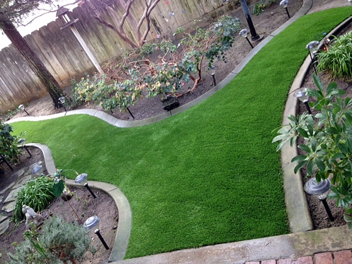 Artificial Grass Tonto Village, Arizona Backyard Deck Ideas, Backyard Landscaping