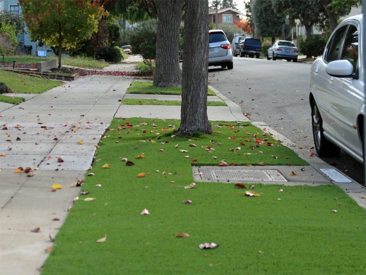 Artificial Grass Top-of-the-World, Arizona Landscaping, Front Yard Landscaping Ideas