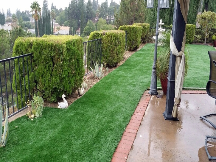 Artificial Lawn McNeal, Arizona Landscape Design, Backyard Designs