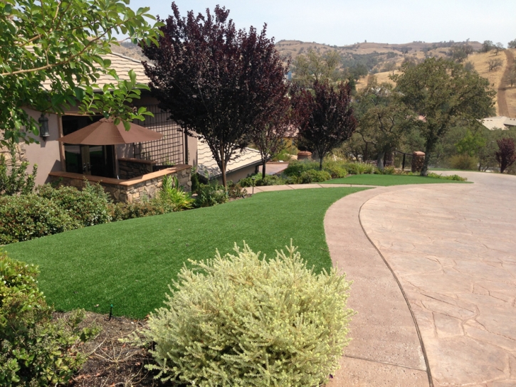 Artificial Lawn Surprise, Arizona Gardeners, Front Yard Landscaping Ideas