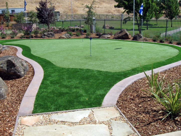 Artificial Lawn Tat Momoli, Arizona Best Indoor Putting Green, Backyard Garden Ideas