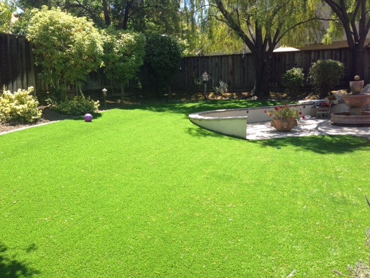 Artificial Turf Cactus Flat, Arizona Landscape Photos, Beautiful Backyards