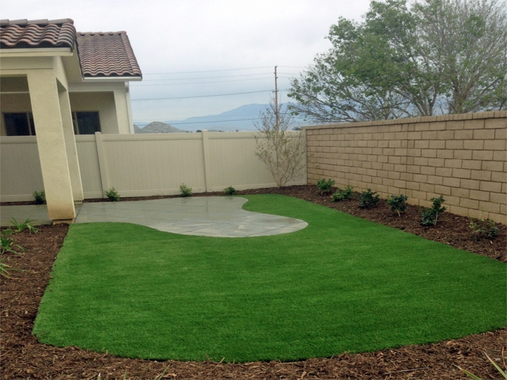 Artificial Turf Clay Springs, Arizona Backyard Deck Ideas, Backyard Ideas