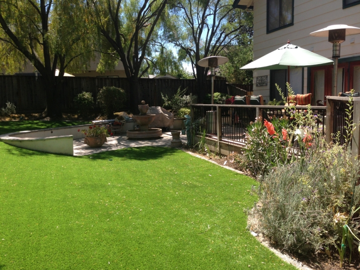 Artificial Turf Cost Carrizo, Arizona Landscape Photos, Backyard Landscape Ideas