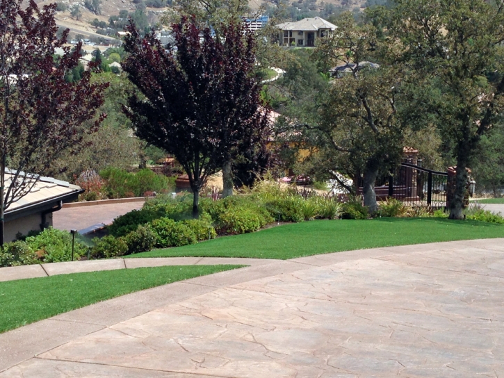 Artificial Turf Cost Carrizo, Arizona Landscape Photos, Front Yard Ideas