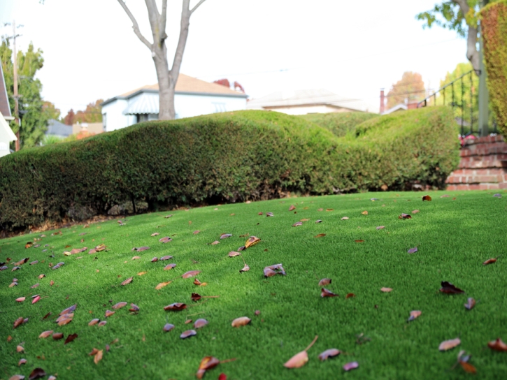 Artificial Turf Cost Casa Grande, Arizona Landscape Ideas, Front Yard Ideas