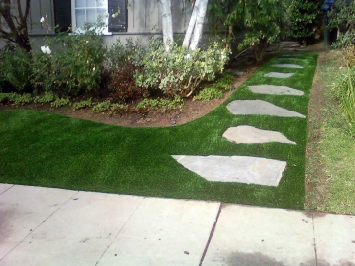 Artificial Turf Cost LeChee, Arizona Lawns, Front Yard