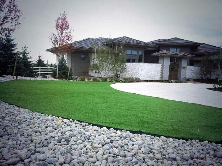 Artificial Turf Cost Paradise Valley, Arizona Home And Garden, Front Yard Ideas