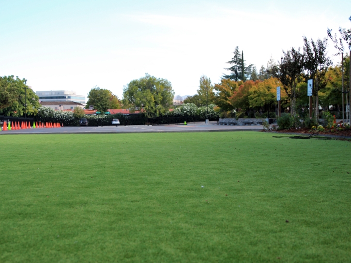 Artificial Turf Cost Phoenix, Arizona Lacrosse Playground