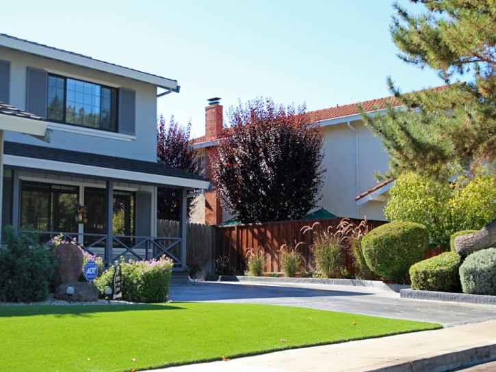 Artificial Turf Cost Sells, Arizona Landscape Design, Small Front Yard Landscaping