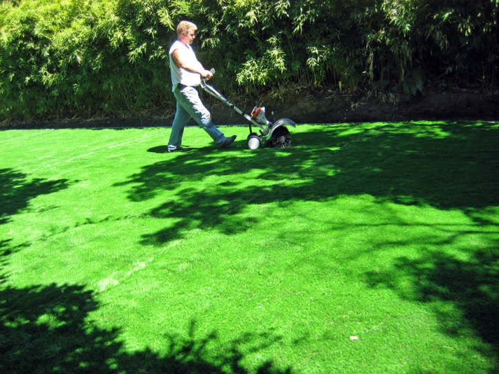 Artificial Turf Cost Washington Park, Arizona City Landscape, Backyard Designs