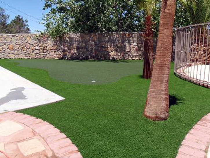 Artificial Turf Cutter, Arizona Outdoor Putting Green, Backyards