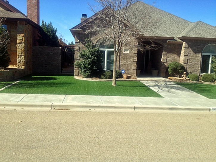 Artificial Turf Holbrook, Arizona Landscape Design, Front Yard Ideas