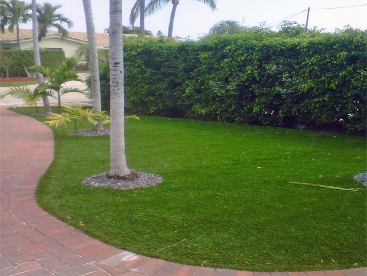 Artificial Turf Installation Clay Springs, Arizona Lawns, Front Yard Landscaping