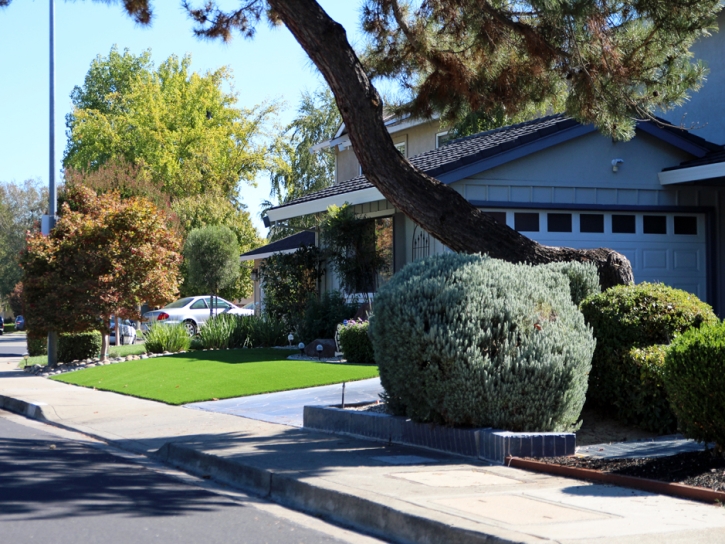 Artificial Turf Installation Roosevelt, Arizona Paver Patio, Front Yard