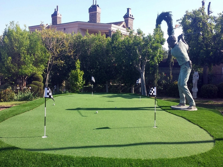 Artificial Turf Miami, Arizona Landscaping, Backyard Design