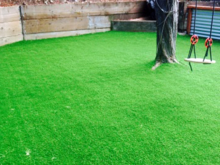 Artificial Turf Sells, Arizona Lacrosse Playground, Small Backyard Ideas