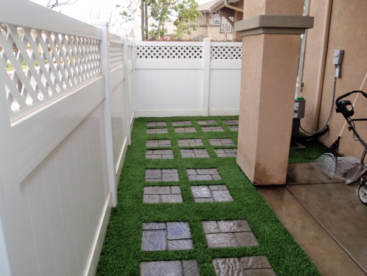 Best Artificial Grass Cave Creek, Arizona Landscape Ideas, Backyard