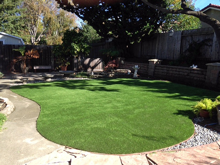 Best Artificial Grass Christopher Creek, Arizona Rooftop, Backyard Landscaping