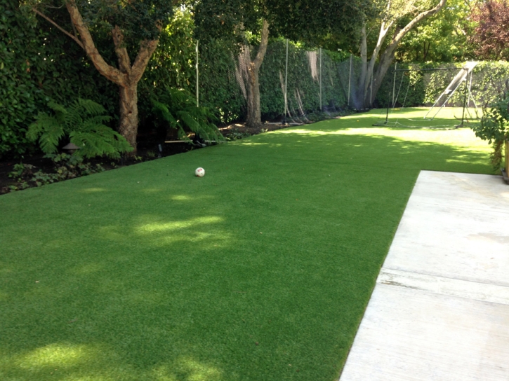 Best Artificial Grass Christopher Creek, Arizona Landscape Photos