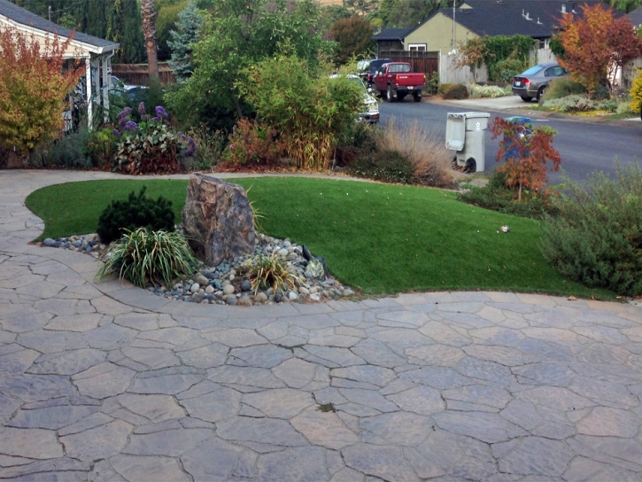 Best Artificial Grass Flowing Wells, Arizona Gardeners, Front Yard Ideas