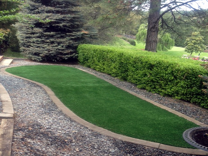 Best Artificial Grass Rillito, Arizona Landscape Photos