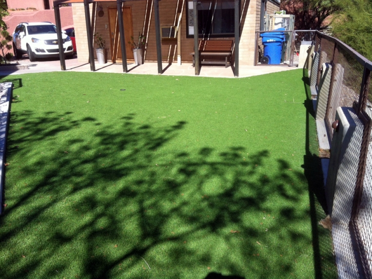 Best Artificial Grass Tonopah, Arizona Landscape Design, Backyard Landscape Ideas