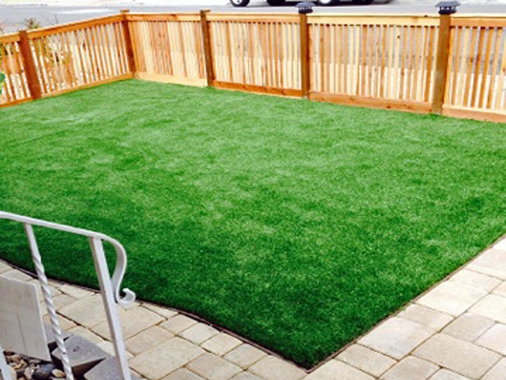 Best Artificial Grass Willcox, Arizona Lawn And Garden, Backyard Landscape Ideas