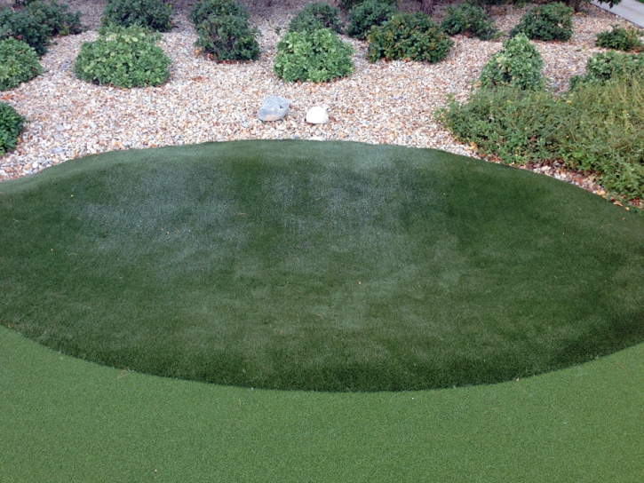 Fake Grass Carpet Aztec, Arizona Design Ideas