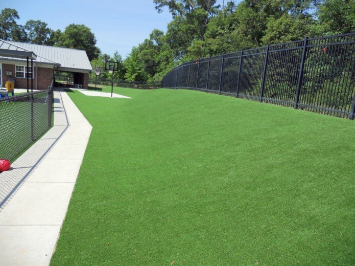 Fake Grass Carpet Jakes Corner, Arizona Roof Top, Commercial Landscape