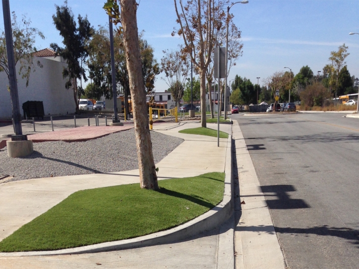 Fake Grass Carpet Mammoth, Arizona Backyard Deck Ideas, Commercial Landscape