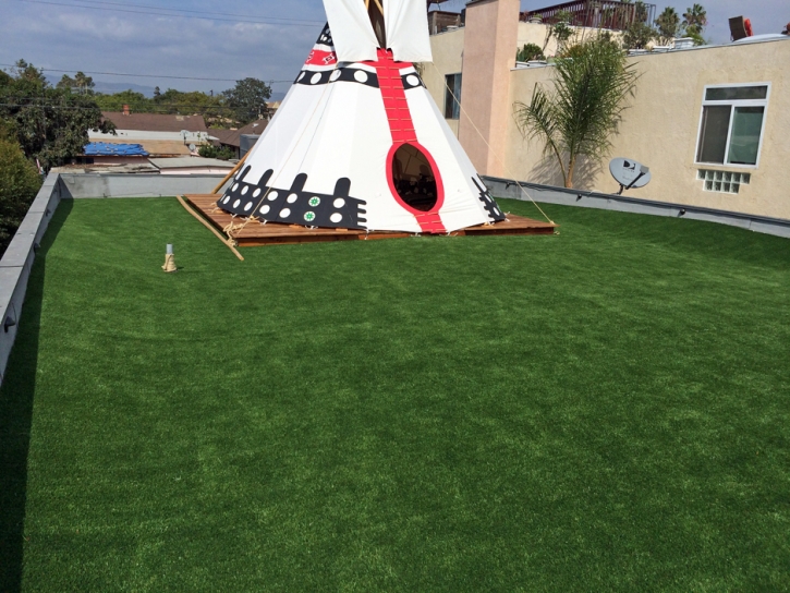 Fake Grass Carpet Peeples Valley, Arizona Paver Patio, Roof Top