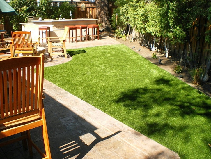 Fake Grass Carpet Queen Creek, Arizona Landscape Design, Backyard Landscaping