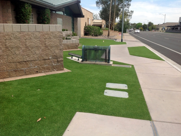 Fake Grass Carpet Rye, Arizona Landscape Design, Front Yard Landscaping