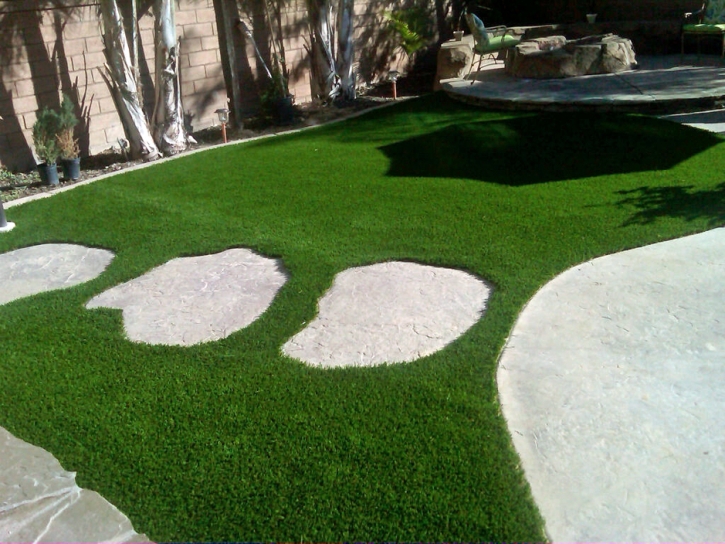 Fake Grass Carpet Ventana, Arizona Backyard Playground, Backyards