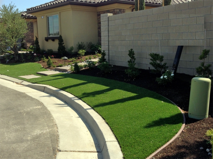 Fake Grass Cedar Creek, Arizona Lawns, Landscaping Ideas For Front Yard