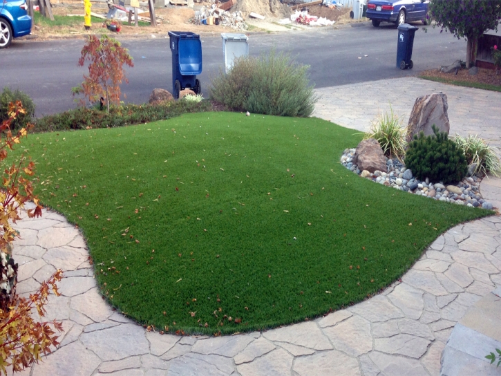 Fake Grass Dragoon, Arizona City Landscape