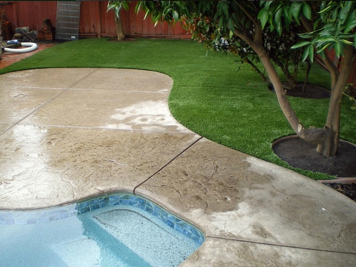 Fake Grass Miami, Arizona Roof Top, Backyard Landscaping