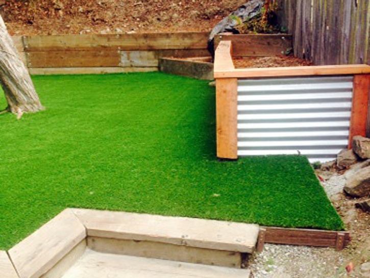 Fake Grass Santa Rosa, Arizona Roof Top, Backyard Design