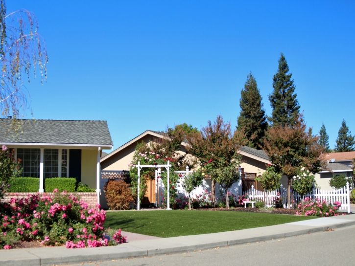 Fake Lawn Anthem, Arizona Gardeners, Front Yard Design