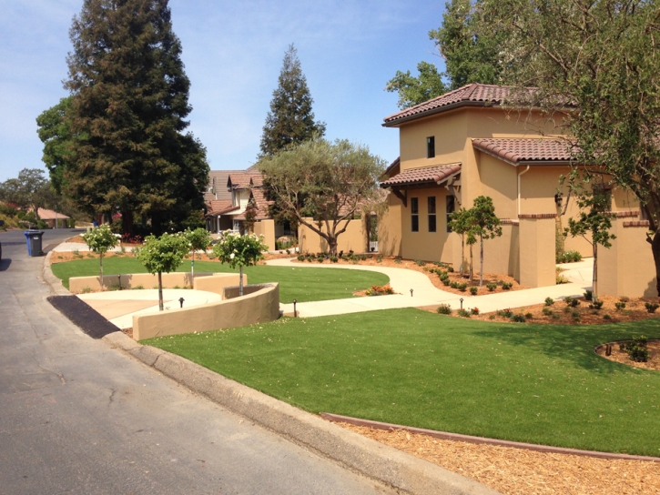 Fake Lawn Carefree, Arizona Landscaping Business, Front Yard Landscaping