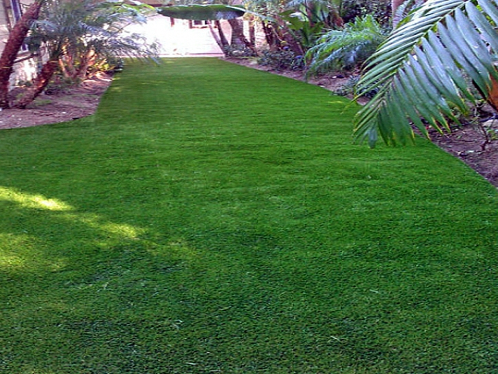 Fake Lawn Central Heights-Midland City, Arizona Home And Garden, Backyard Design